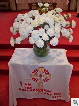 Vase of 132 Carnations 